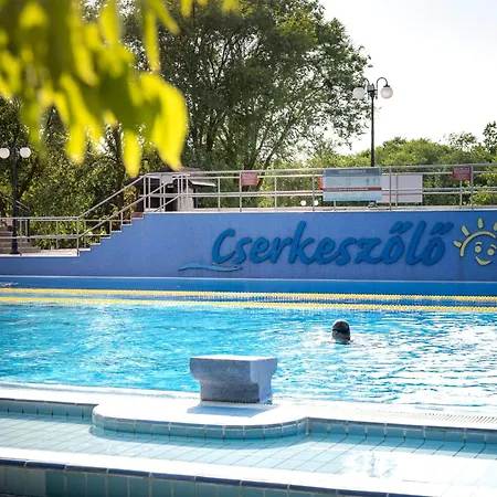 Solaris Platan House Holiday home Cserkeszolo
