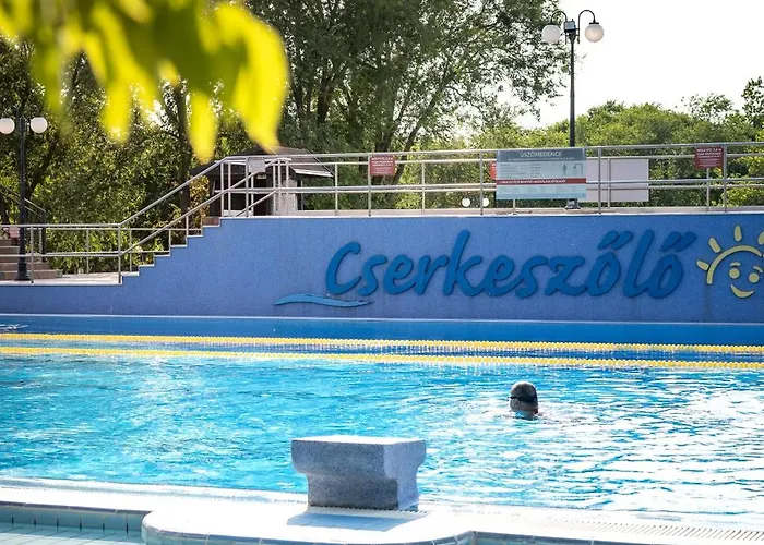 Solaris Platan House 펜션 Cserkeszőlő